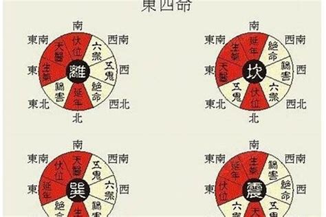 四巽命|淺談「巽命」